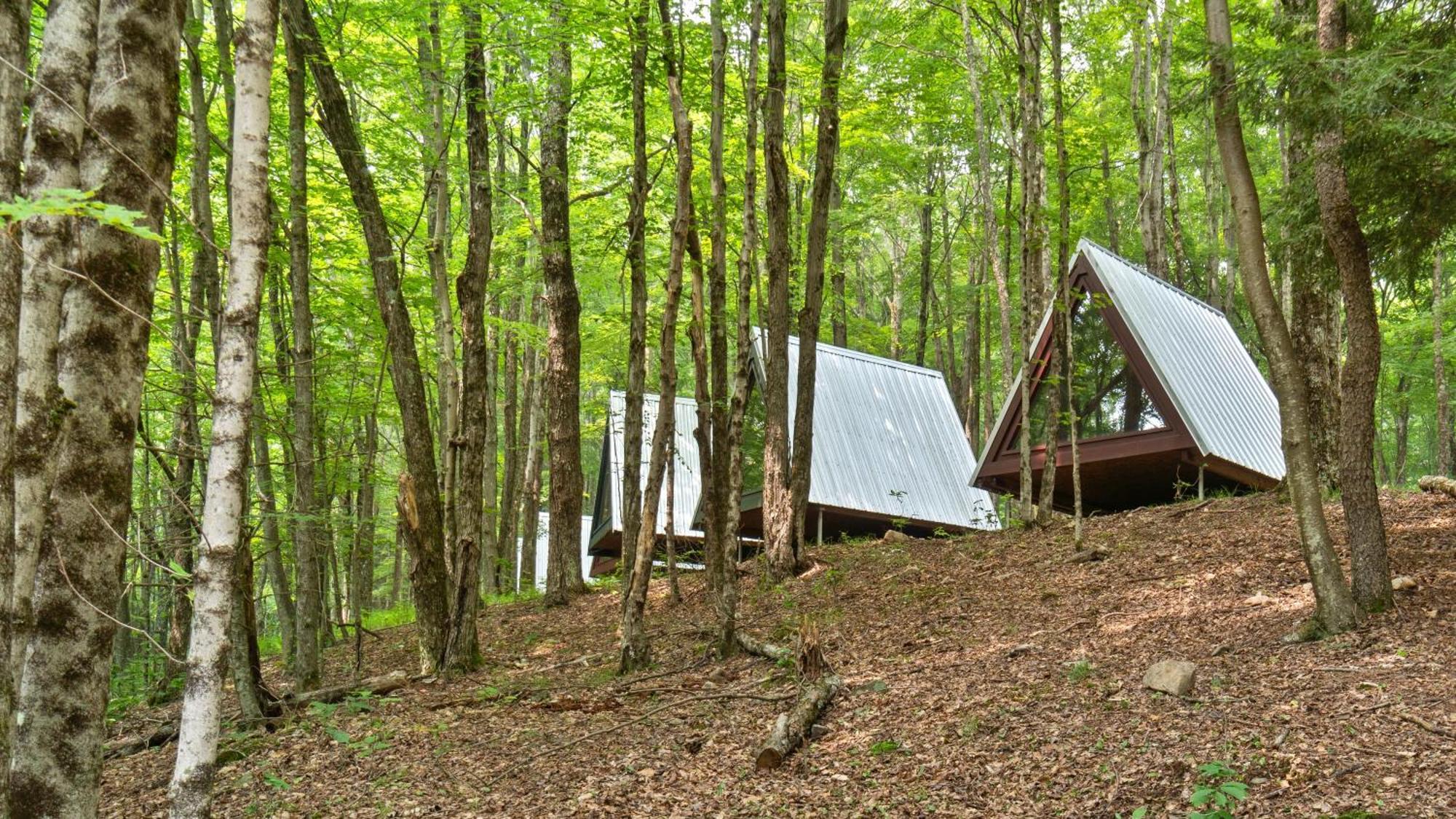 Callicoon Hills Callicoon Center Exterior photo